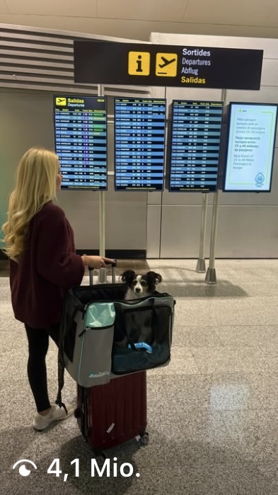 Meadow in der Transportbox am Flughafen – 4,1 Mio. Views
